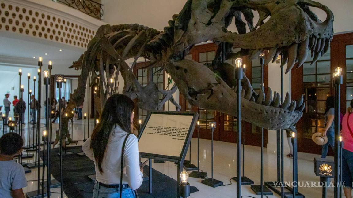 $!Ocho dimensiones llenas de esqueletos, paleosculturas y réplicas de fósiles se preparan para sorprender al público del Museo Bebeleche en diciembre.