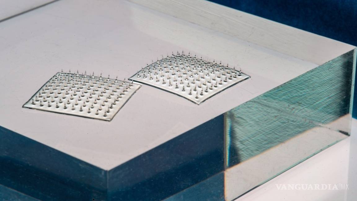 $!Con esta alarma podrás saber si los alimentos están contaminados