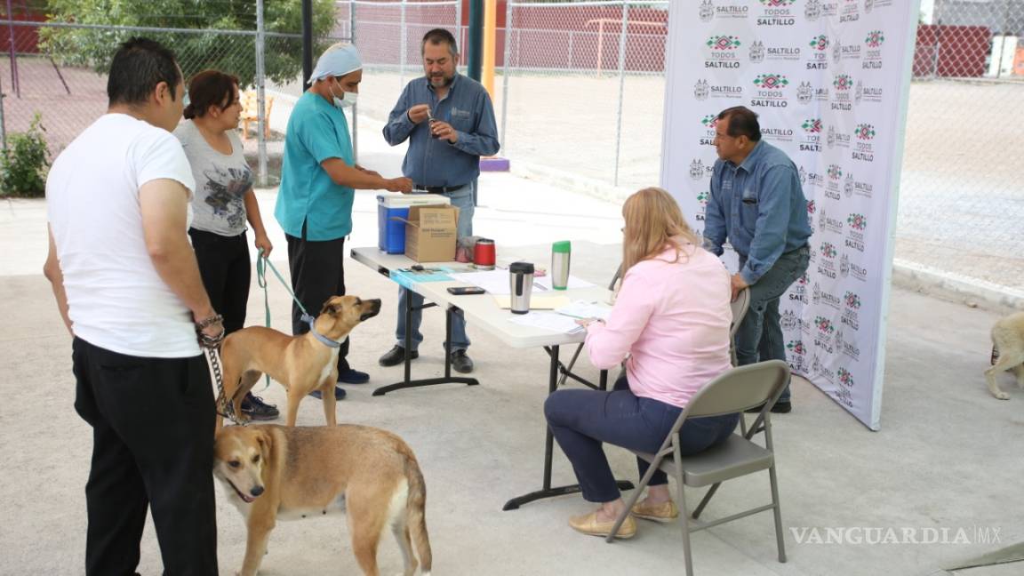 Campaña de esterilización llega a colonia Loma Linda
