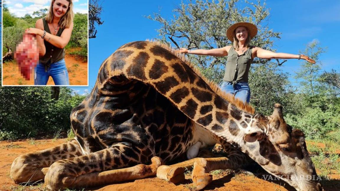 Mujer mata jirafa, dice que así ayuda a animales y pobladores