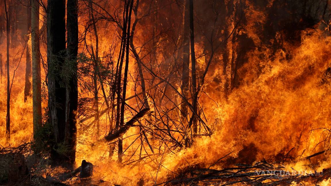 $!Australia vive su propio infierno, mira estas fotos