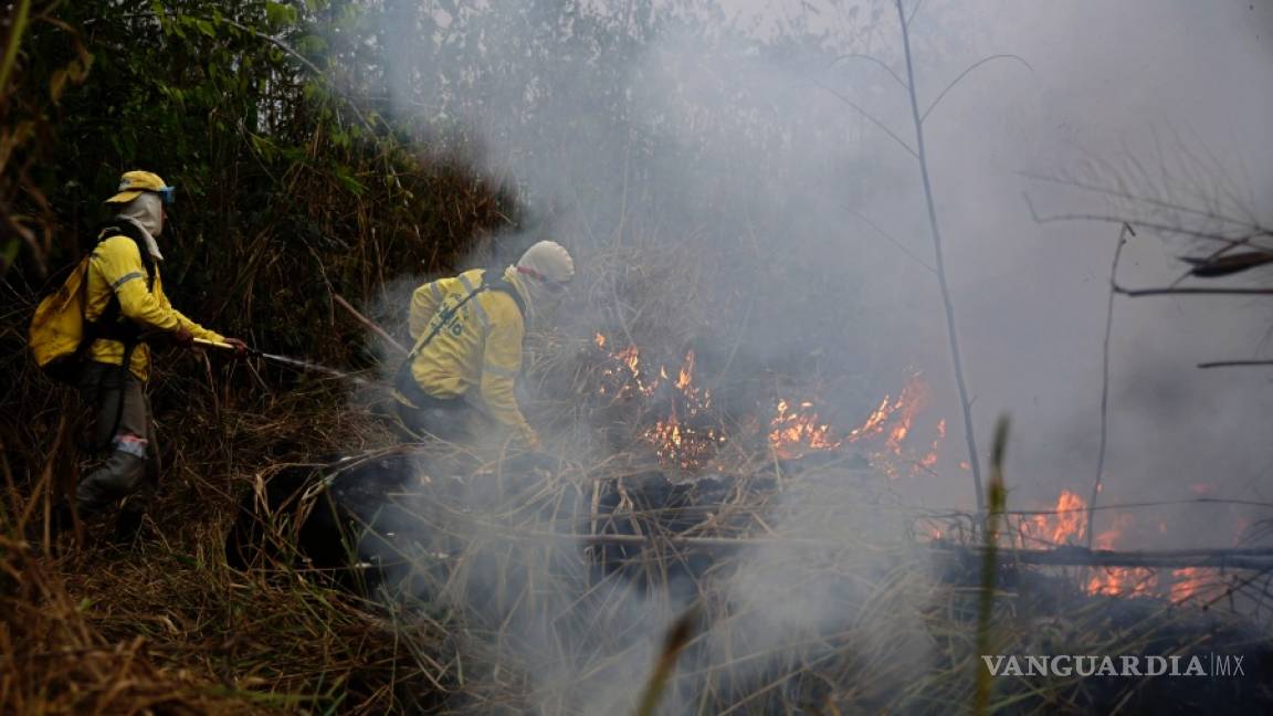 Bomberos brasileños combaten el fuego en una Amazonia cubierta de humo