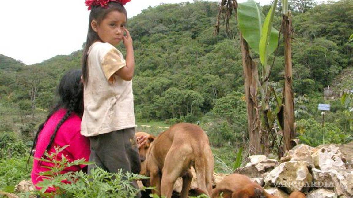 $!Tren Maya cruzará 41 municipios en la miseria; cambiaría el destino a 2 millones de habitantes del sur del país