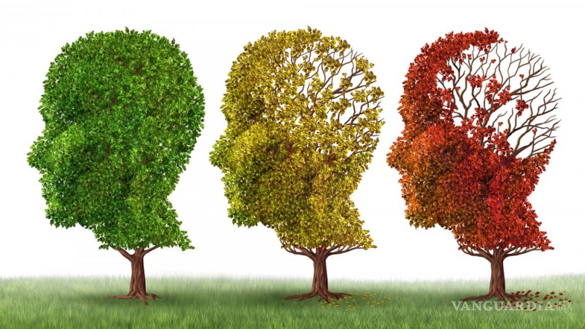 $!Hablar varios idiomas ayuda a prevenir el Alzheimer
