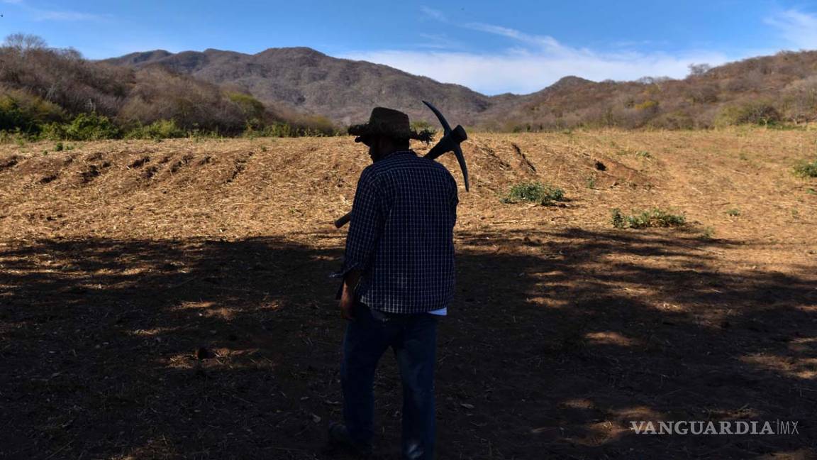 Localizan restos humanos de 31 cuerpos en fosa clandestina de Colima