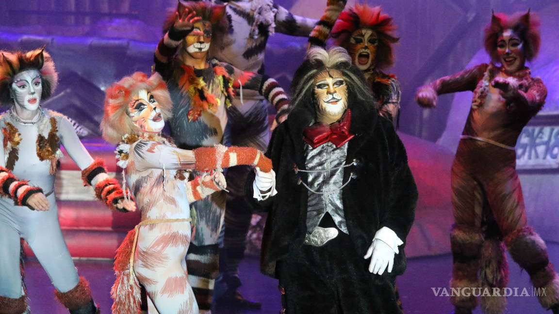 ‘Cats, el musical’ en Saltillo, de la talla de Broadway