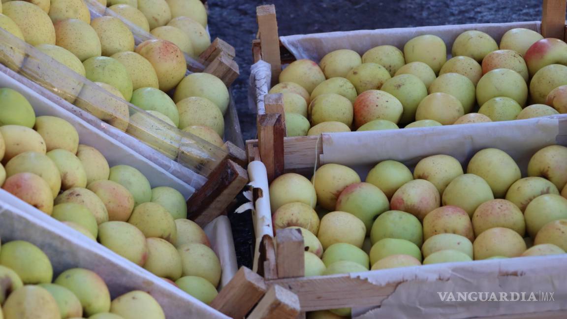 Cambio climático podría afectar cosechas de manzana y nuez en Coahuila