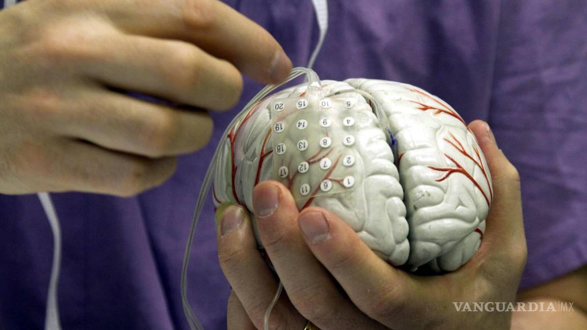$!Los científicos indicaron que todas las células del cerebro humano contienen la misma secuencia de ADN.