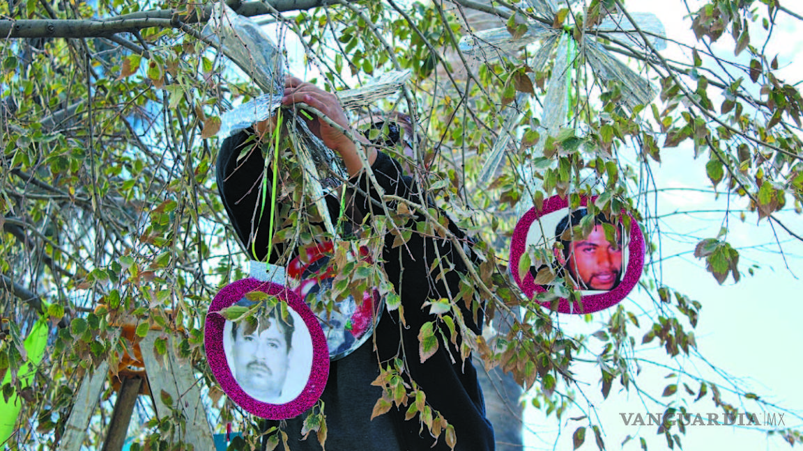 La Fuundec recuerda en árboles a sus desaparecidos