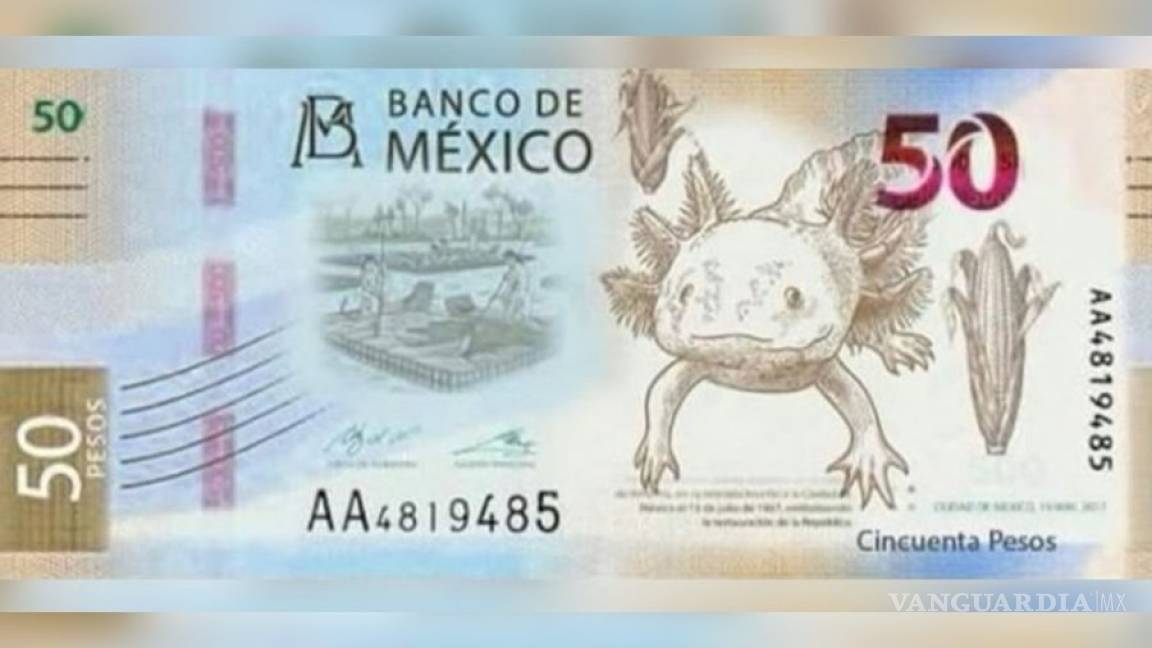Nuevos billetes de 50 pesos llevarán al ajolote y Xochimilco