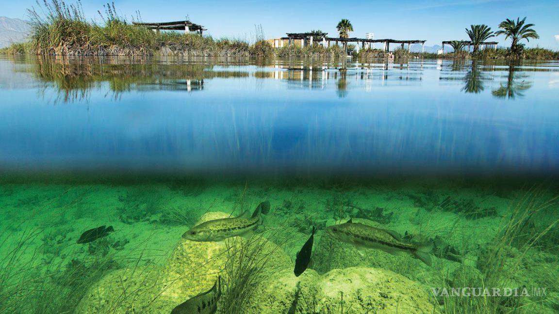 Los cinco mejores destinos naturales que debes conocer en Coahuila