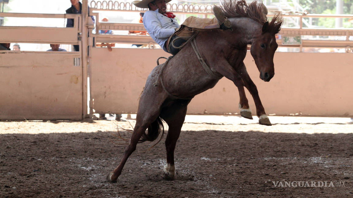 Vaqueros y amazonas quieren subir al podio en el XXI Campeonato Nacional de Rodeo