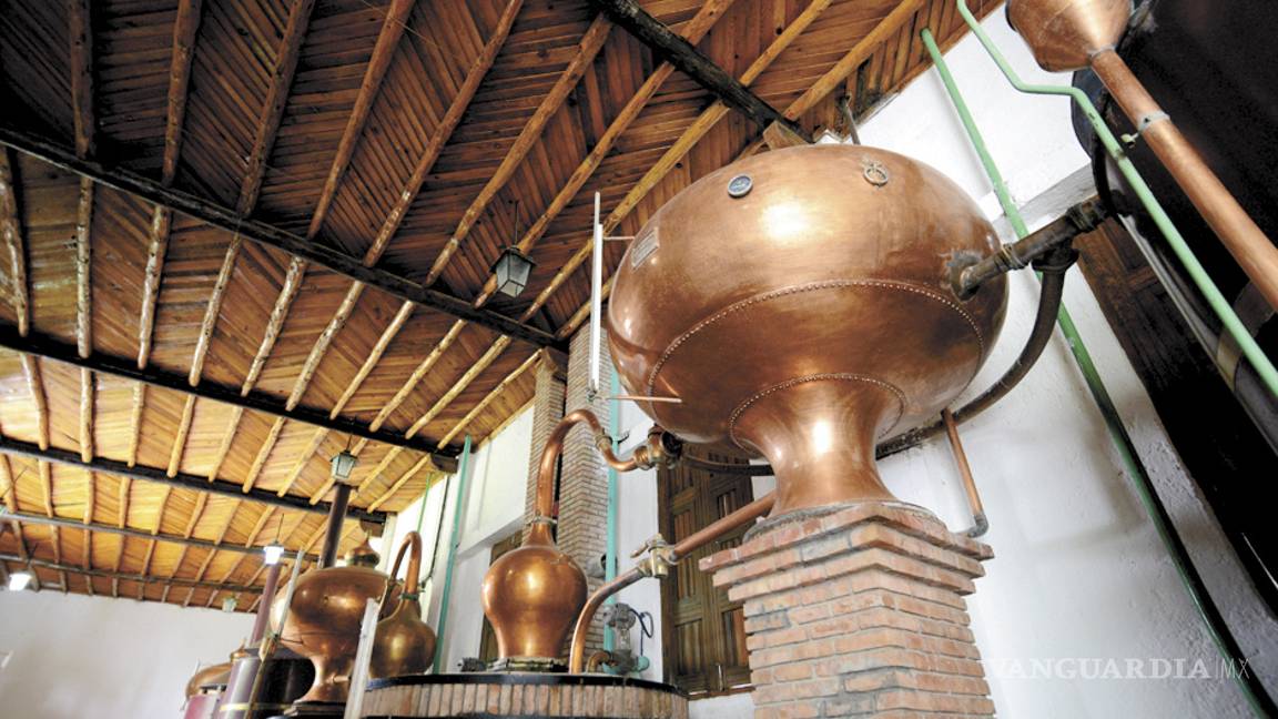 $!La Vendimia, magno evento de Parras