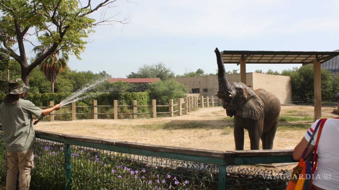 $!Cultura en Semana Santa: Para visitar estas vacaciones