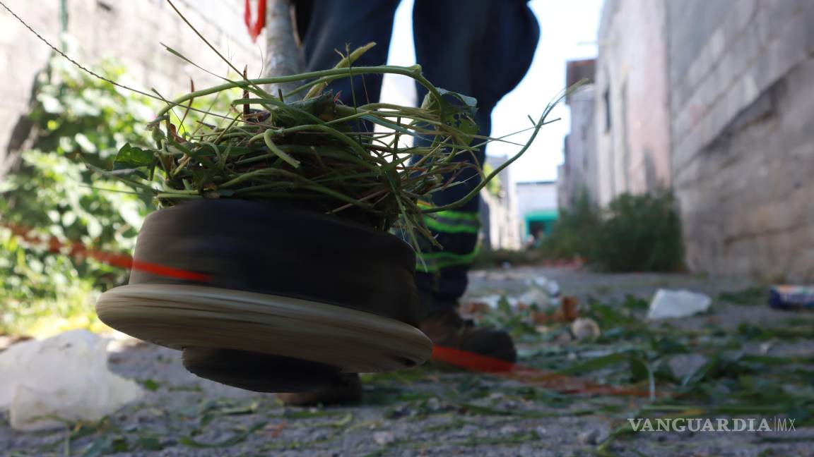 $!Brigadas municipales realizan deshierbe y retiro de basura en la colonia Vicente Guerrero.