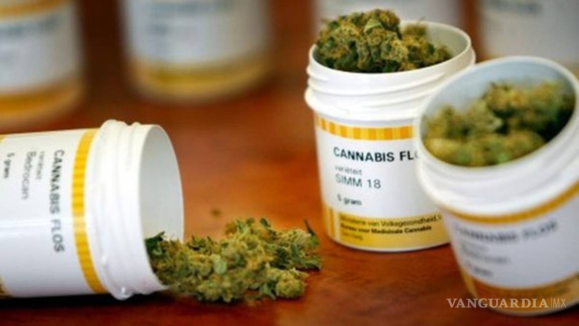 Busca Suprema Corte validar uso medicinal de la cannabis