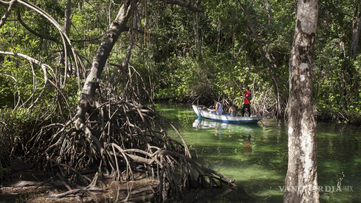 Un chapuzón en los ríos y manantiales de la República Dominicana