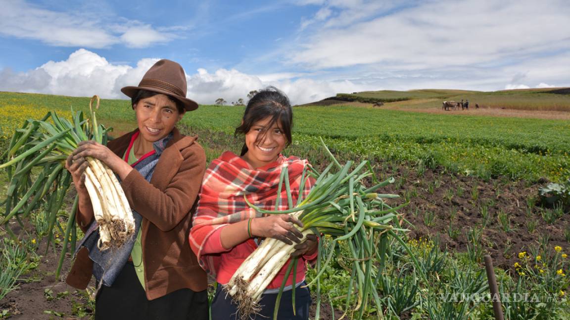 Margina la Federación a la mujer campesina