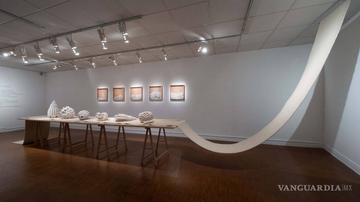 $!‘Extinción continua’: Avelina y Alejandro Fuentes Quezada exponen en Francia