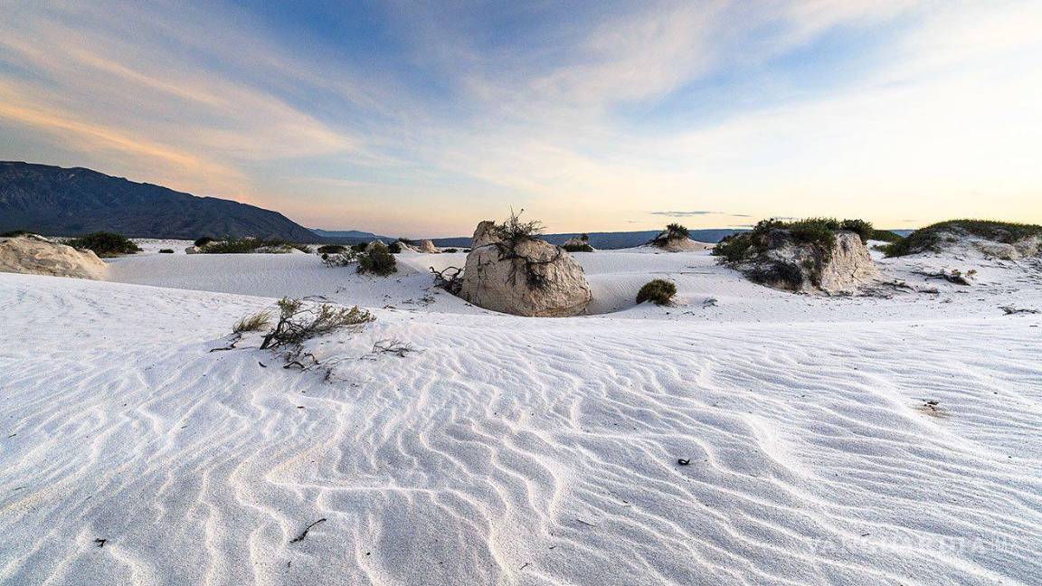 $!Coahuila, un estado al norte de México, conocido por sus vastos desiertos, su rica historia y su vibrante cultura.