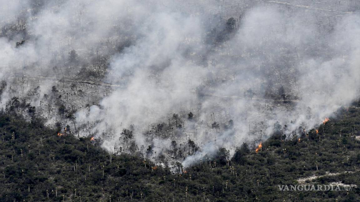 Mantendrán vigilancia en Arteaga pese a sofocar incendios forestales