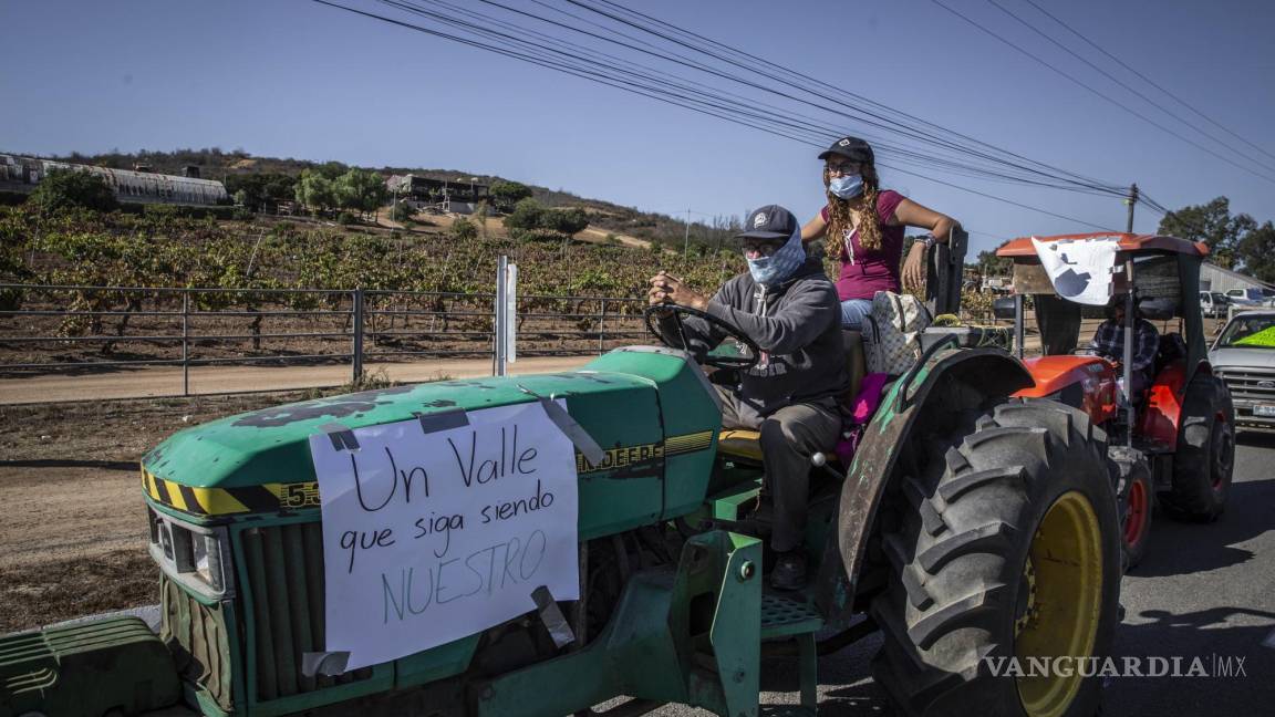 Llaman a salvar el Valle de Guadalupe