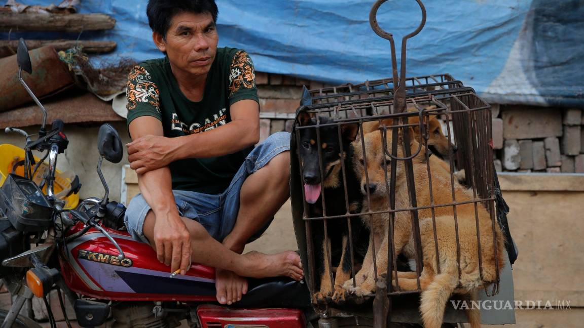 $!Pese a protestas, China celebra su mayor festival de carne de perro
