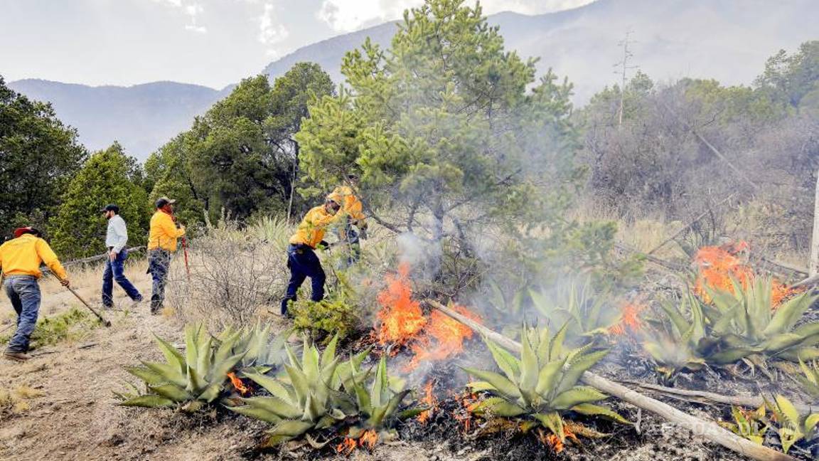 $!Esfuerzo. Cientos de horas/hombre se emplean en apagar un incendio forestal.