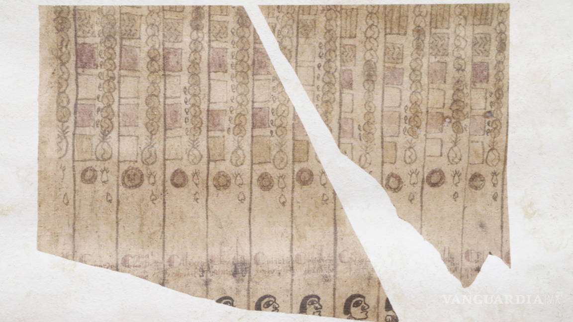 Codex Bornensis Gaditanensis: un descubrimiento que explica el mestizaje colonial