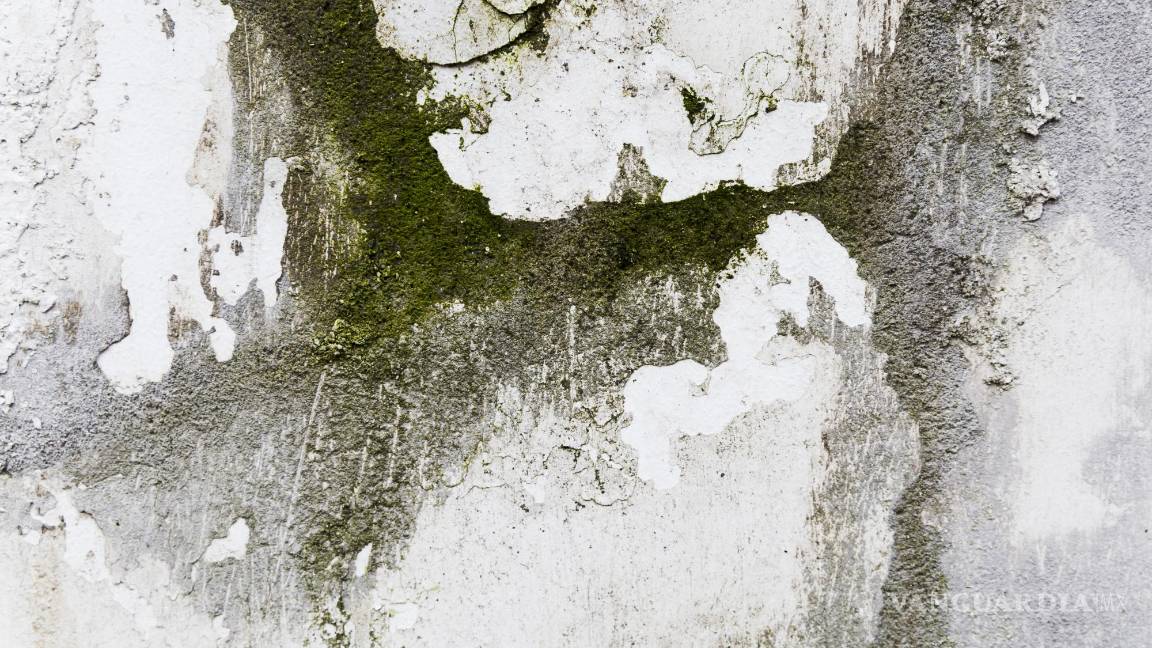 $!Una ventilación adecuada es clave para prevenir la acumulación de humedad.