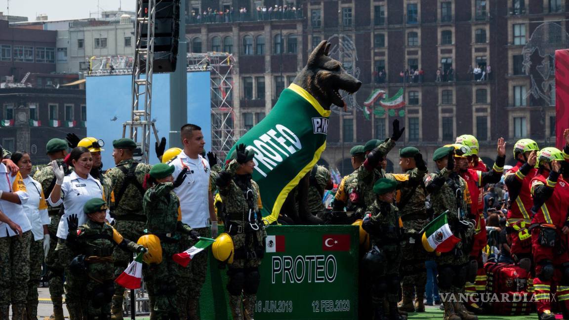 Ejército mexicano rinde homenaje a Proteo, perro rescatista fallecido en Turquía
