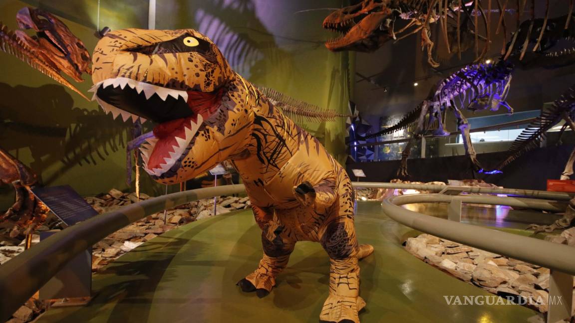 Conoce a Braulio, el dinosaurio más popular del Museo del Desierto