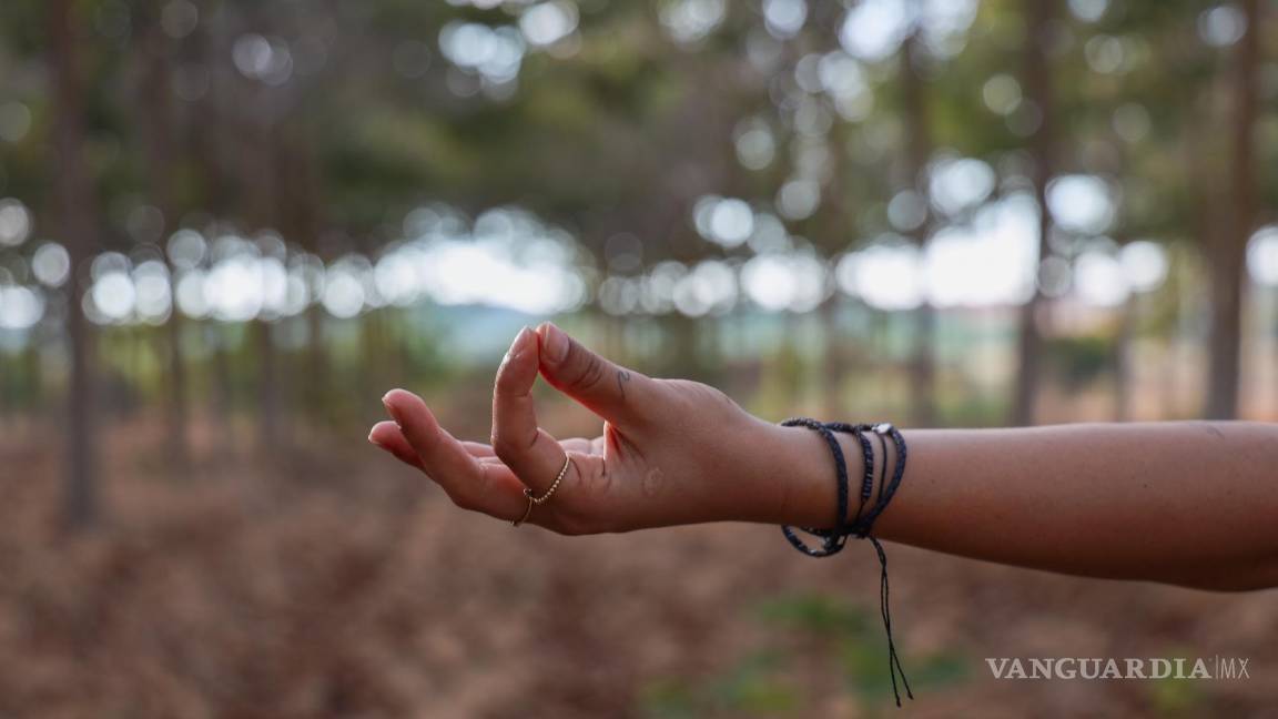 $!Observe los ruidos u olores de la mañana, la calidad de la luz e incluso un sabor persistente en la boca.