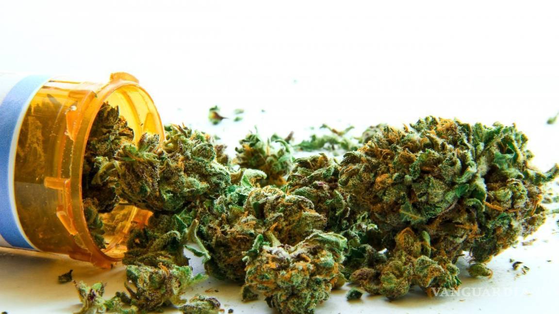 ‘Despenalización de la mariguana abrirá paso a investigación médica’