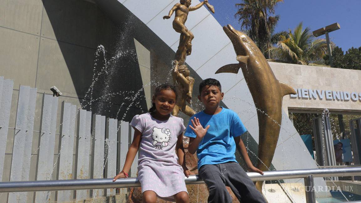 $!Acuario Mazatlán; toda una experiencia