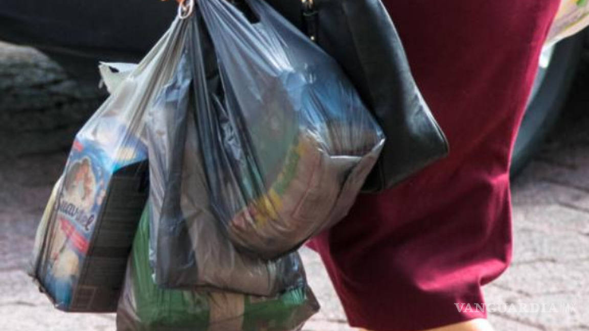 Coahuila cumple con acuerdos internacionales con ley que prohíbe el uso de bolsas de plástico