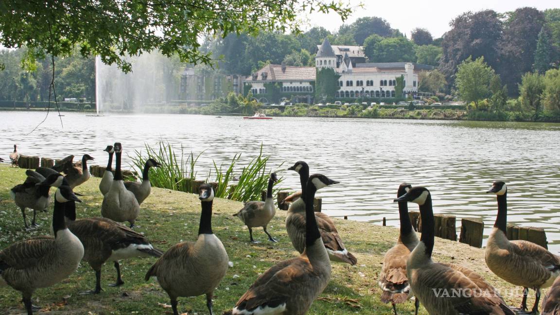 $!Valonia en Bélgica te ofrece un tesoro acuático, paisajes fabulosos y exquisita gastronomía