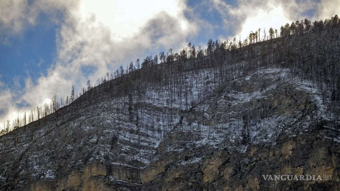 $!En las zonas serranas de la Región Sureste se han dejado sentir algunas heladas con las cuales se han pintado de blanco.