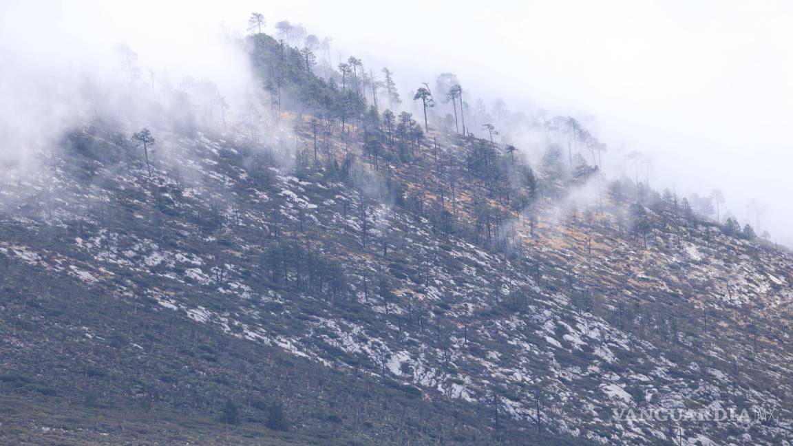 $!Las temperaturas que se pronostican se ubicarían entre las más frías de la historia.