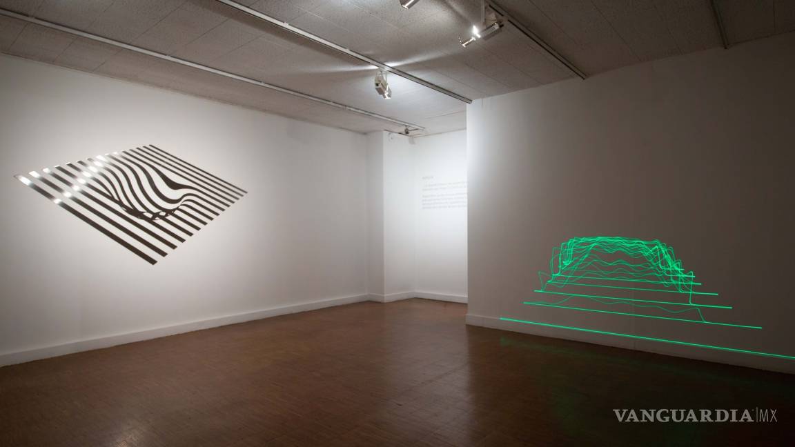 $!‘Extinción continua’: Avelina y Alejandro Fuentes Quezada exponen en Francia