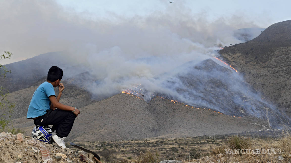 Aún sin castigo culpables de incendio forestal en la Sierra de Arteaga