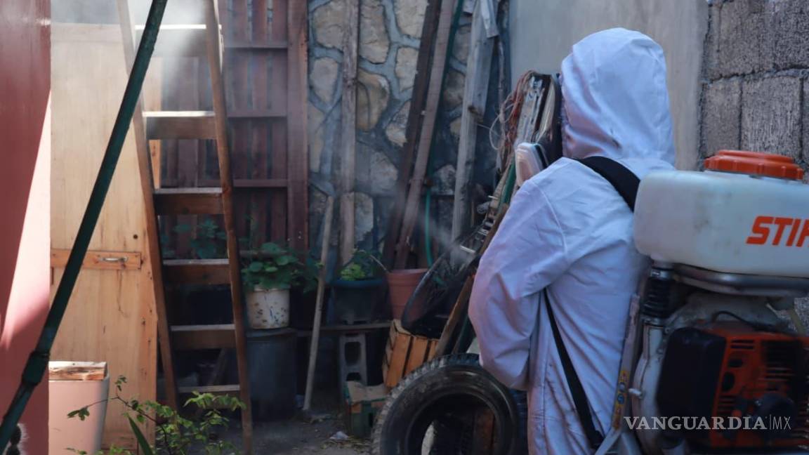 $!El Ayuntamiento busca reducir la presencia del parásito en las zonas urbanas y proteger la salud de las familias saltillenses.