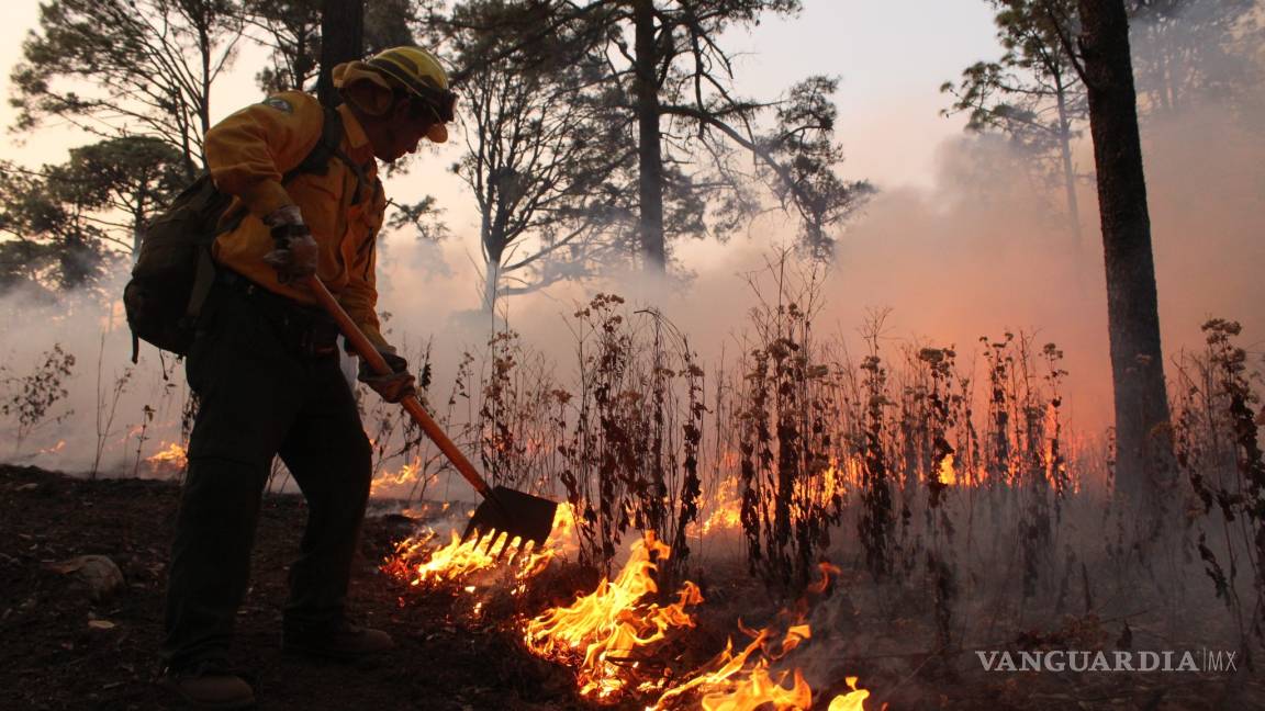 CDMX y Edomex lideran al país en incendios forestales