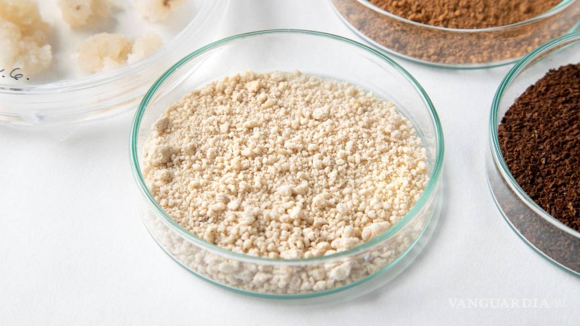 $!Café producido mediante agricultura celular , molido y tostado. EFE/VTT