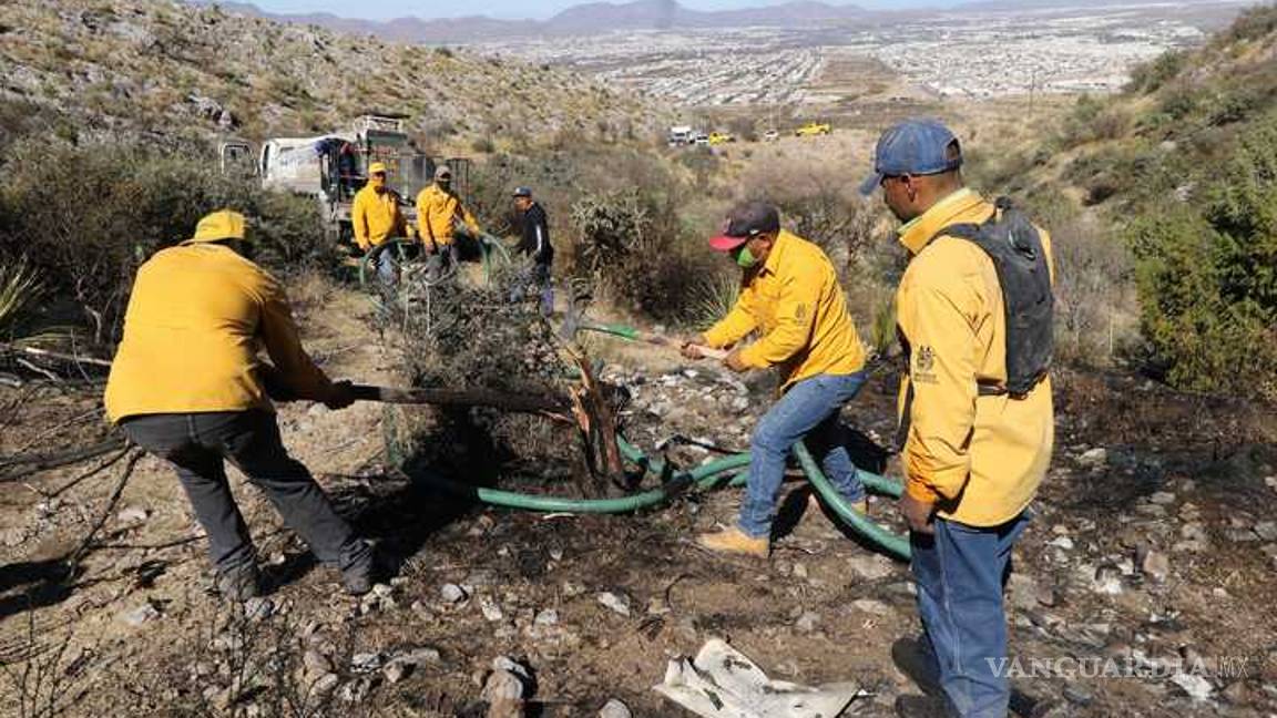 $!Incendio en sierra de Zapalinamé está controlado: SMA