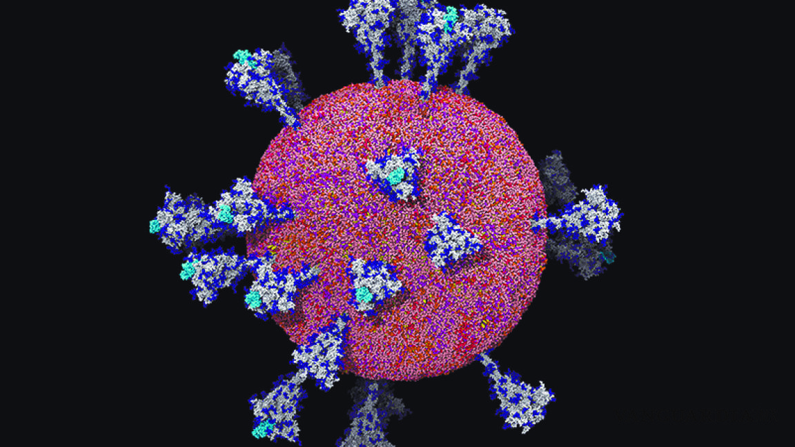 El COVID al descubierto; investigadores analizan a detalle al virus