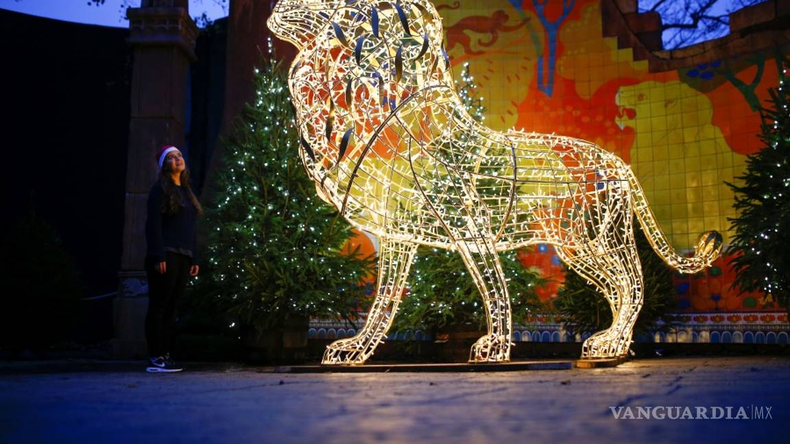 $!Disney vuelve a rugir con “El rey león”