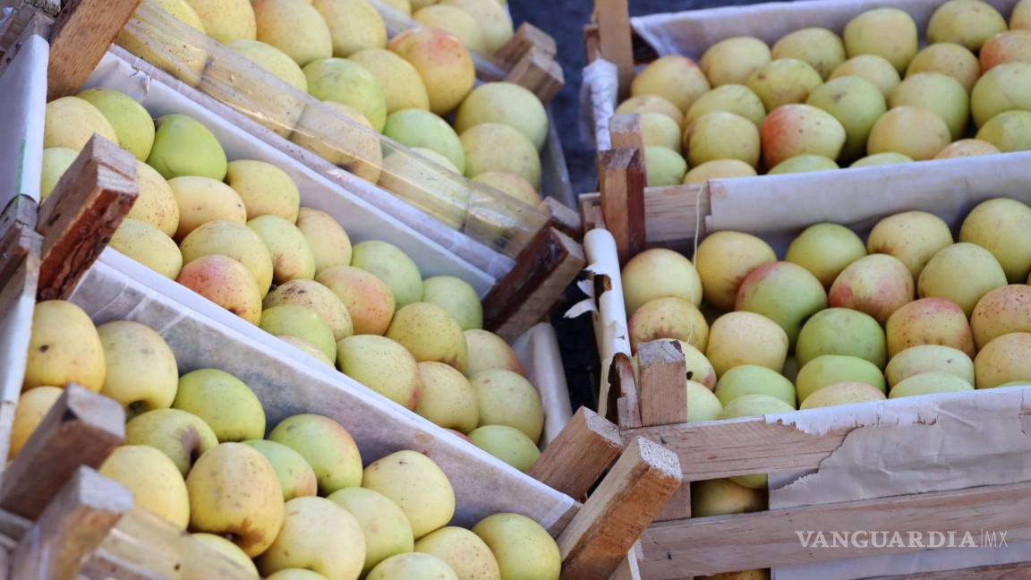 Se reduce 35% producción de manzana en Arteaga por escasez de lluvia