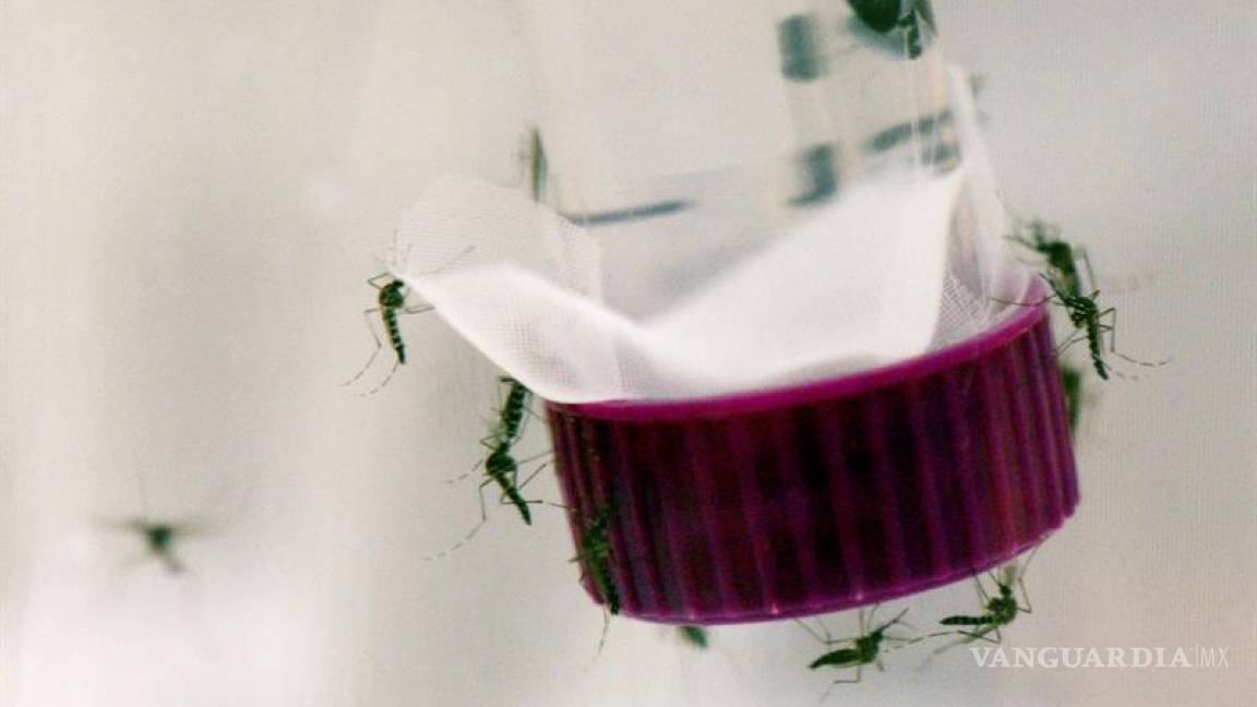 Confirma EU primer caso de Zika por transmisión sexual