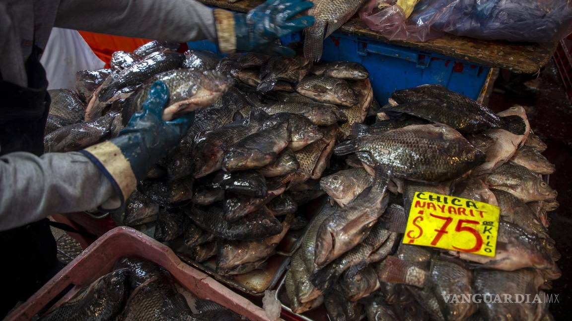 $!Vendedores de pescado ofrecen sus productos en el mercado de pescados y mariscos La Viga, en Ciudad de México.